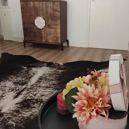 Casa Viela Cega Апартаменты Виана-ду-Каштелу
