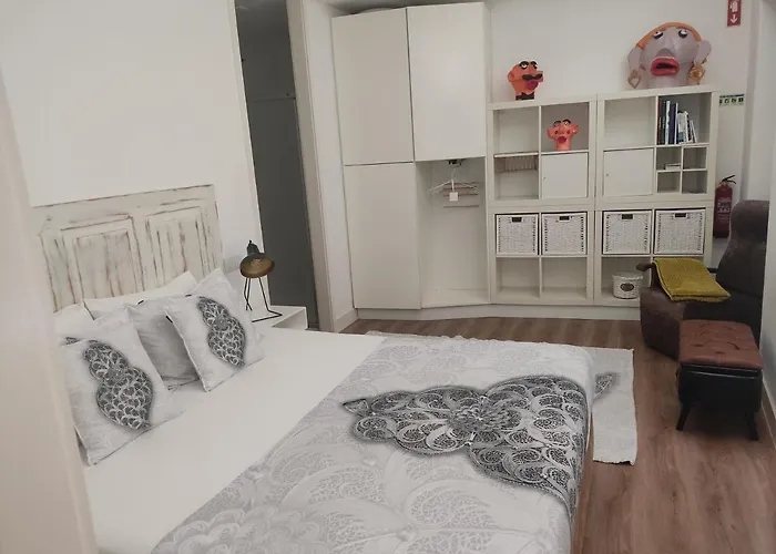 Casa Viela Cega Apartment Viana do Castelo